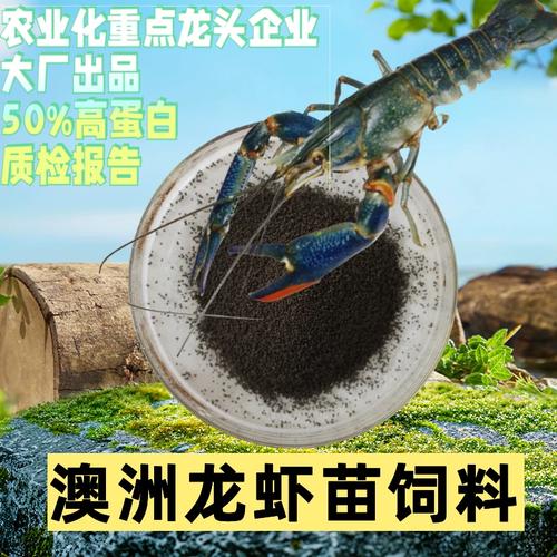 澳洲淡水龍蝦苗開口料選擇指南 工廠化養(yǎng)殖專用下沉顆粒料，不渾水更高效